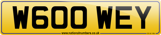 W600 WEY