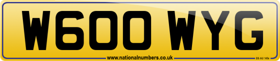 W600 WYG