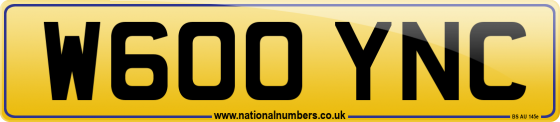W600 YNC
