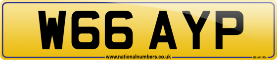 W66 AYP