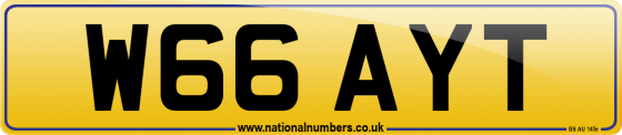 W66 AYT