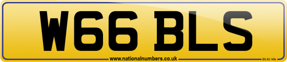 W66 BLS