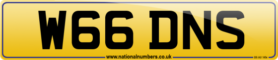 W66 DNS