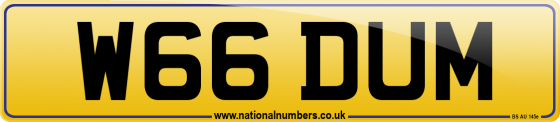 W66 DUM