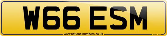 W66 ESM