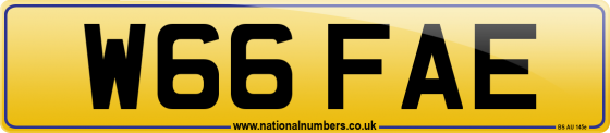 W66 FAE