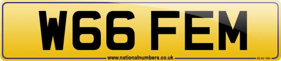 W66 FEM