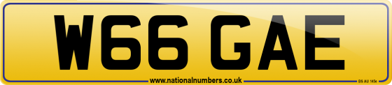 W66 GAE