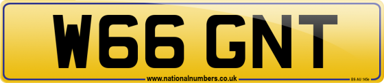 W66 GNT