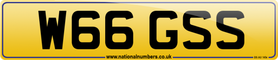 W66 GSS
