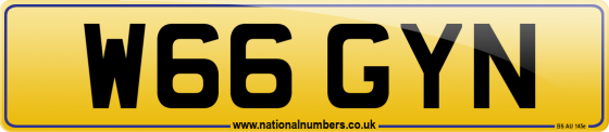 W66 GYN
