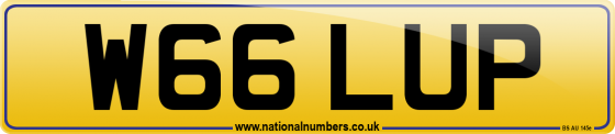 W66 LUP