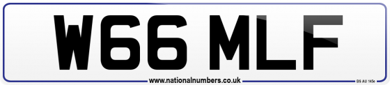 W66 MLF