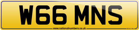 W66 MNS