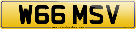 W66 MSV