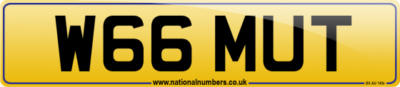 W66 MUT