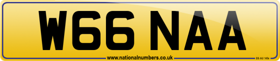 W66 NAA