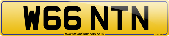 W66 NTN