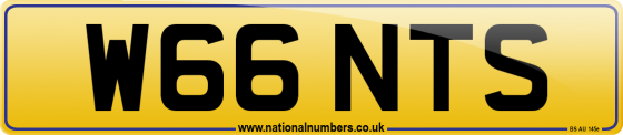 W66 NTS