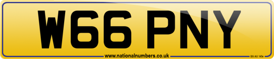 W66 PNY