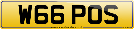 W66 POS