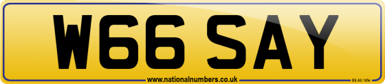 W66 SAY