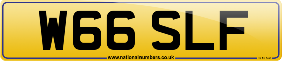 W66 SLF