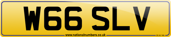 W66 SLV