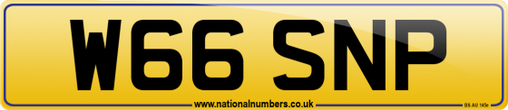 W66 SNP
