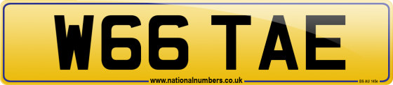 W66 TAE