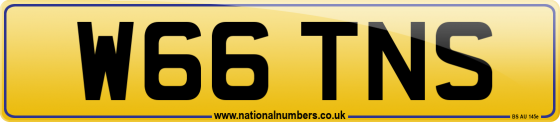 W66 TNS