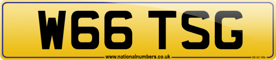 W66 TSG
