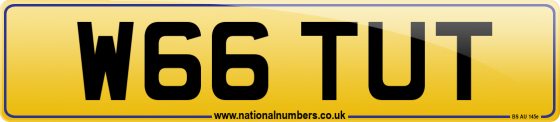 W66 TUT
