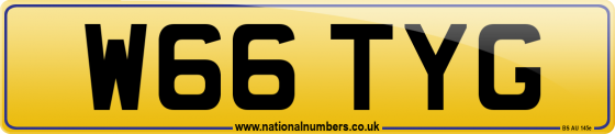 W66 TYG