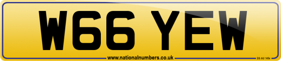 W66 YEW