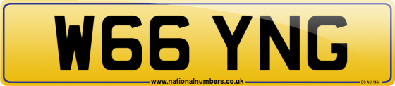W66 YNG