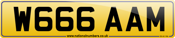 W666 AAM