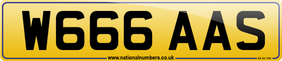W666 AAS