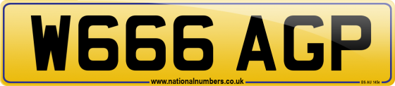 W666 AGP