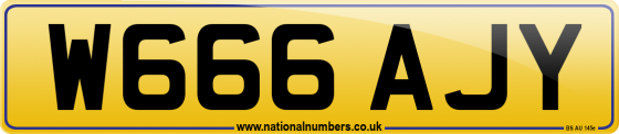 W666 AJY
