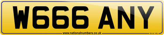 W666 ANY