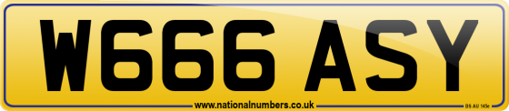 W666 ASY