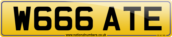 W666 ATE
