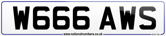 W666 AWS
