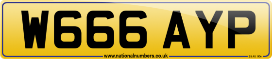 W666 AYP