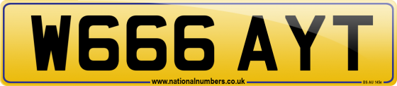 W666 AYT