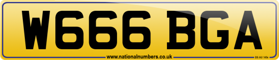 W666 BGA