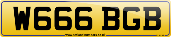 W666 BGB