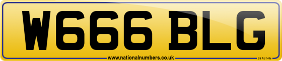 W666 BLG