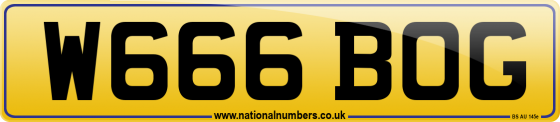 W666 BOG